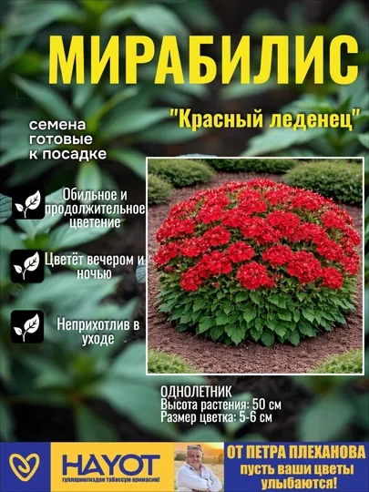 Семена мирабилиса (Ночная красавица): Красный и Абрикосовый леденец от Петра Плеханова