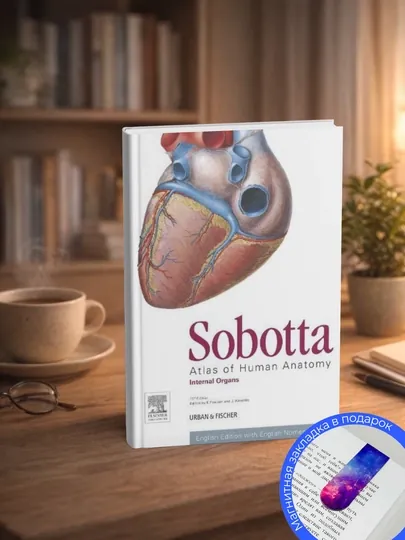 Sobotta Atlas of Human Anatomy, Vol. 2, 15th ed., English: Internal Organs - Softco — GETBOOK-SOBBOTA