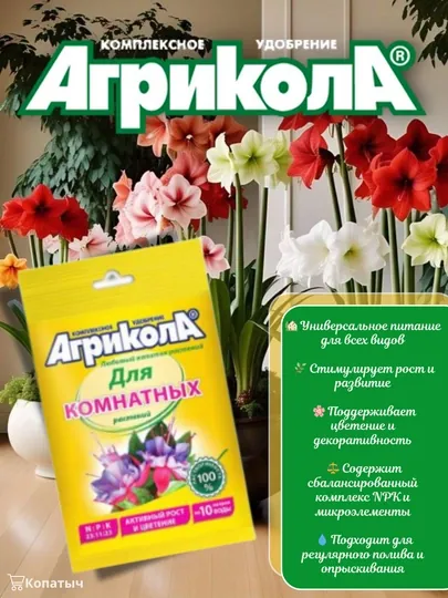 Комплексное удобрение Агрикола, для комнатных растений, 25 г