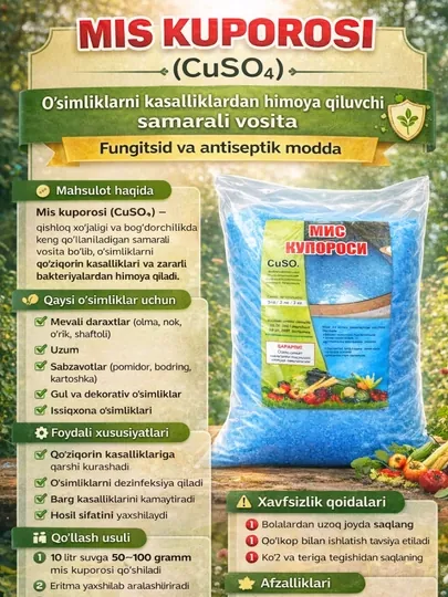 Медный купорос (CuSO4) - средство, защищающее растения от болезней