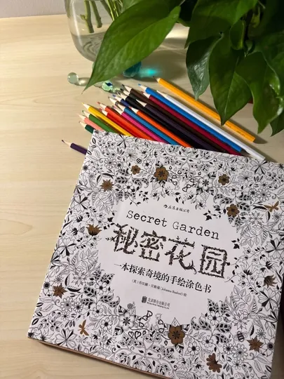 Мандала, антистресс, раскраска, для взрослых, 96 страниц, Secret garden