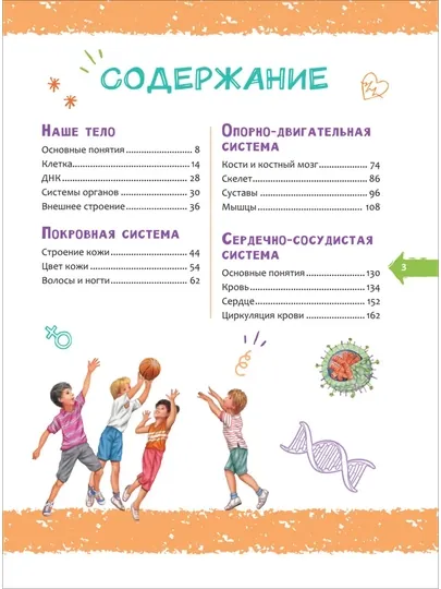 Человек. Новая детская энциклопедия, 400 страниц, твердая обложка, 2022 — GORFAM-LISHA8812