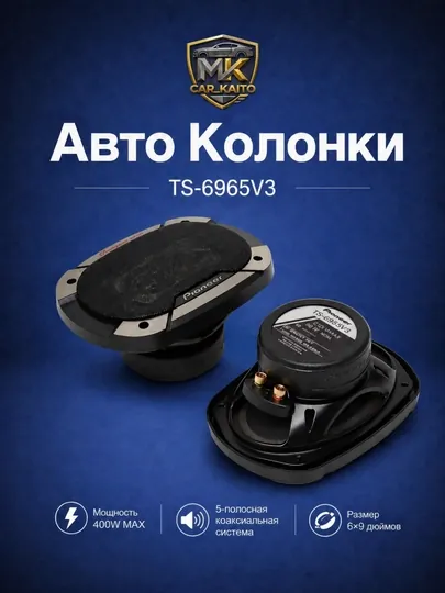 Автомобильные колонки Pioneer TS-6965 V3