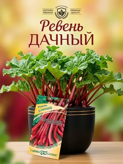 Семена ревень дачный, гавриш, семена от автора 1026994873, 0.5 г