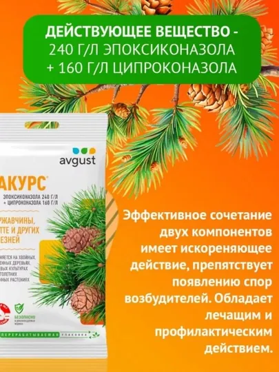 Ракурс Эффективное лекарствое средство для борьбы с ржавчиной на хвойных растениях