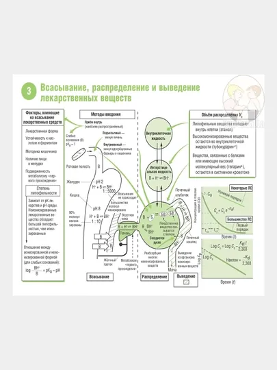 Фармакология в рисунках и схемах в 2-х томах, том 1-2 — MED1234-FARMAKO-ЛАЗУР