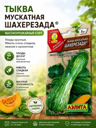 Семена тыквы мускатной сорта Шахерезада. Аэлита
