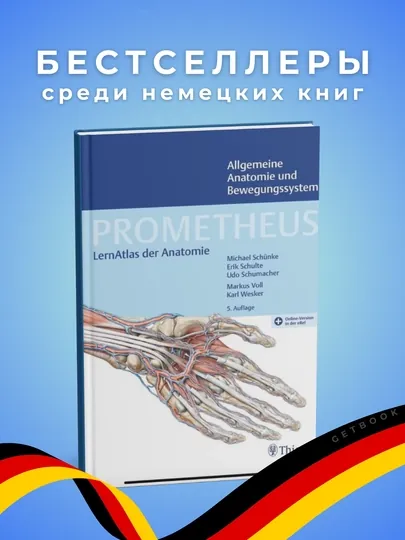 Книга, Prometheus: Allgemeine Anatomie und Bewegungssystem 5.Auflage