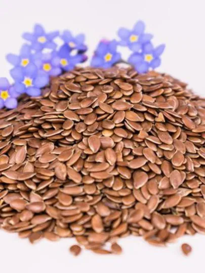Семена льна, Flax seeds 500 gr, 200 gr