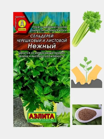 Семена сельдерея