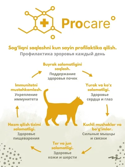 Сухой корм holustic для стерилизованных кошек и котов Grandorf, 4 мяса, 2 кг