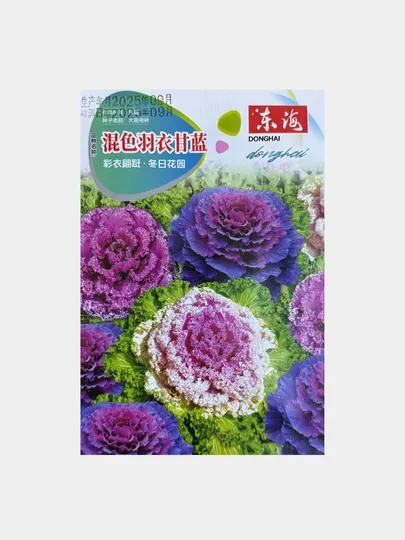 Семена Декаративная КАПУСТА цветок, Китай
