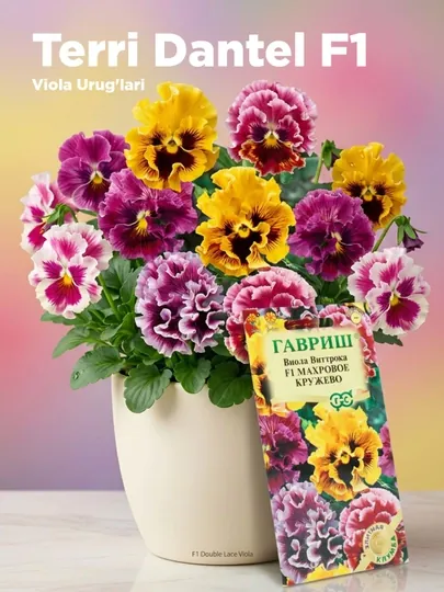 Семена Виола махровое кружево F1, Виттрока, Анютины глазки), смесь, 4 шт, 1071857436