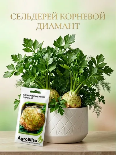 Семена Сельдерей корневой Диамант, AgroElita, Bejo, 50 шт