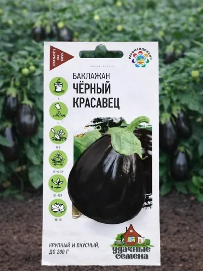 Семена баклажан Черный красавец Удачные семена