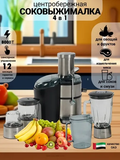 Соковыжималка, блендер, измельчитель мяса и кофемолка, 4 в 1, RABEE RG-103, RG-102 / 800 Вт