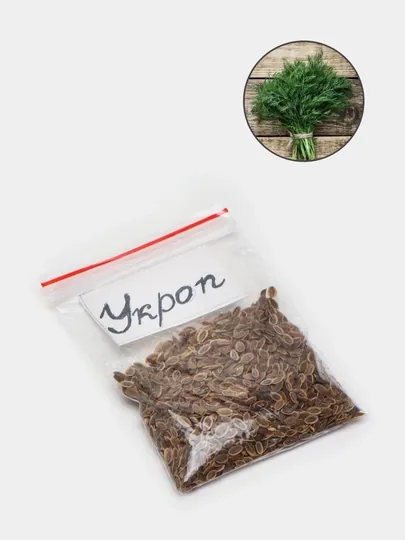 Семена укропа
