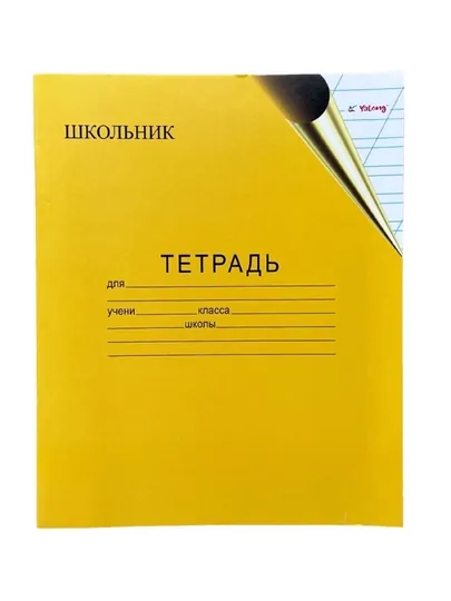 Тетради 12 листов - 10 шт, двухлинейный