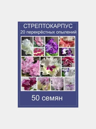 Семена комнатного цветка стрептокарпуса, 50 шт