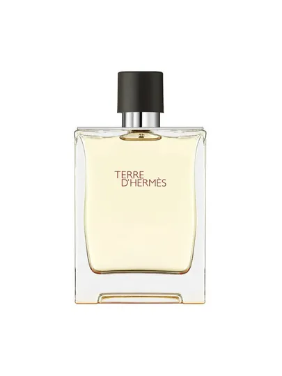 Туалетная вода Hermes Terre D'Hermes Eau de Toilette, 100 мл