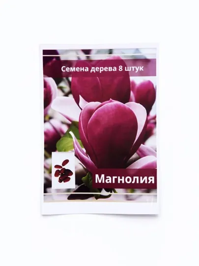 Семена Фотинии Давида