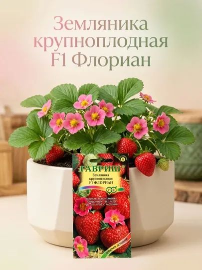 Семена Земляника, клубника, Флориан F1, ремонтантная, 5 шт