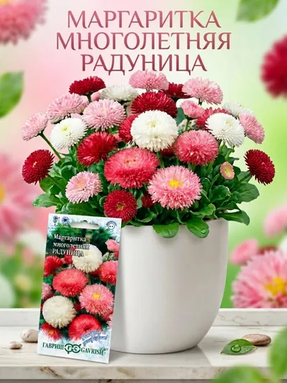 Семена Маргаритка Радуница, смесь, 0.05 г