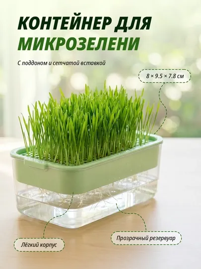 Контейнер для микрозелени с сеткой и резервуаром для воды