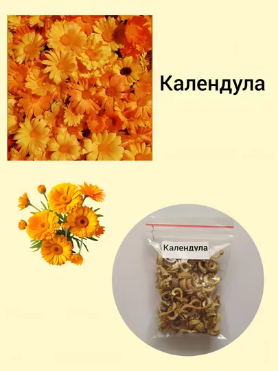 Семена Календула, Астра, Целозия Петушки, Вербена