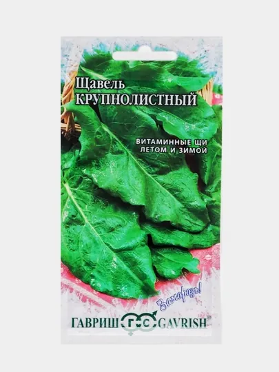 Семена зелени, Щавель
