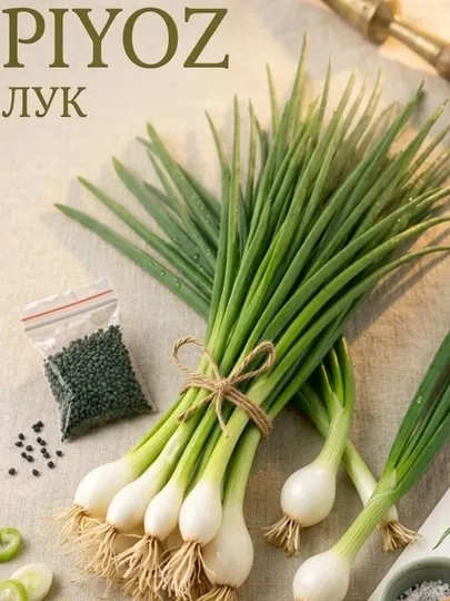 Семена укроп, кинза, лук, редиска