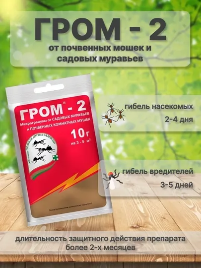 Микрогранулы от садовых муравьев и почвенных комнатных мушек Гром 2, 10 г