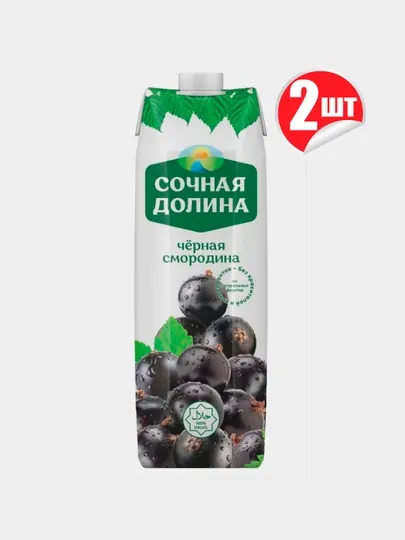 Сок "Сочная Долина" Черная смородина, 1 л х 2шт