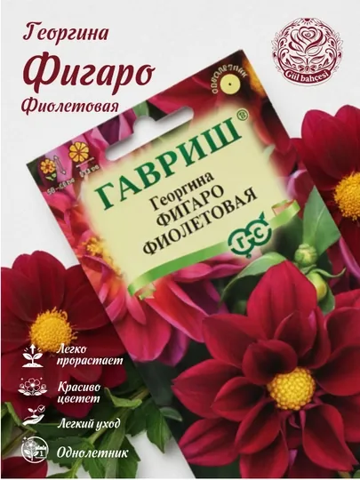 Семена, Георгина Фигаро фиолетовая, 7 шт, 1071860791