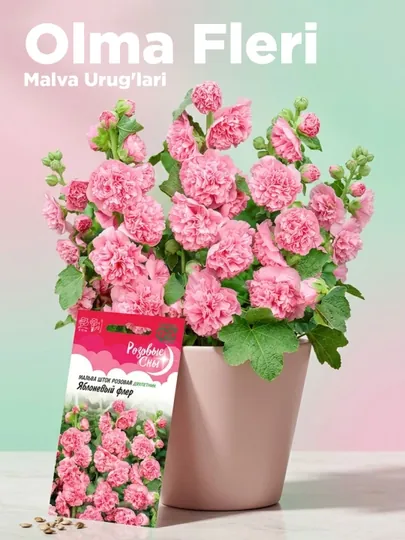 Семена Мальва Яблоневый флер, 0.1 г, 1026995945