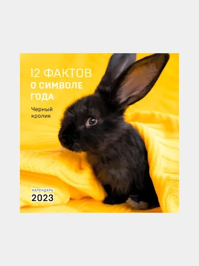 12 фактов о символе года. Черный кролик. Календарь настенный на 2023 год 300 * 300 мм