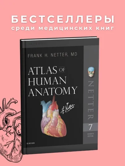 Netter's atlas of human anatomy. 7th Edition