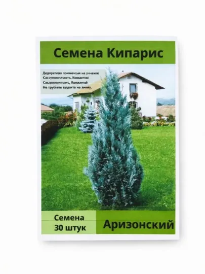 Семена Кипарис аризонский, 30 шт (Cupressus arizonica)