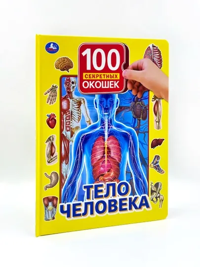 Интерактивная книга: Тело человека, 100 секретных окошек, Умка