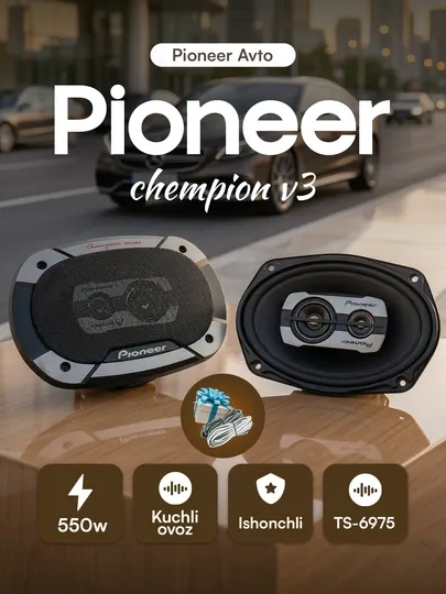 Автомобильные колонки Pioneer Champion ТS-6975 V3