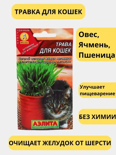 Семена трава для кошек, попугаев, грызунов