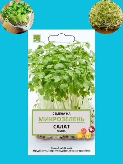 Семена микрозелени, микрозелень, для проращивания, мангольд, дайкон, брюква, горох