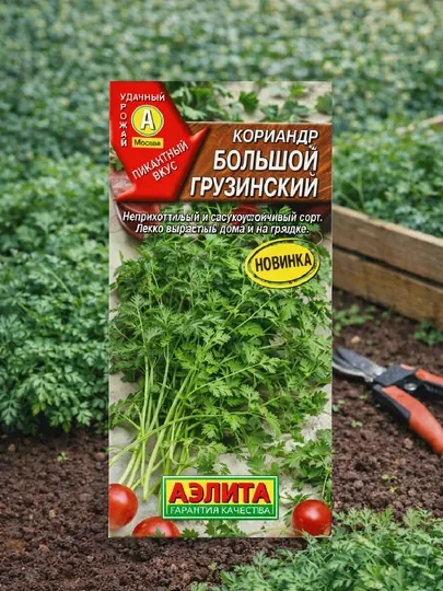 Семена кориандр Большой грузинский Аэлита