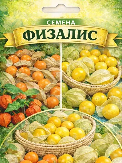 Семена физалиса