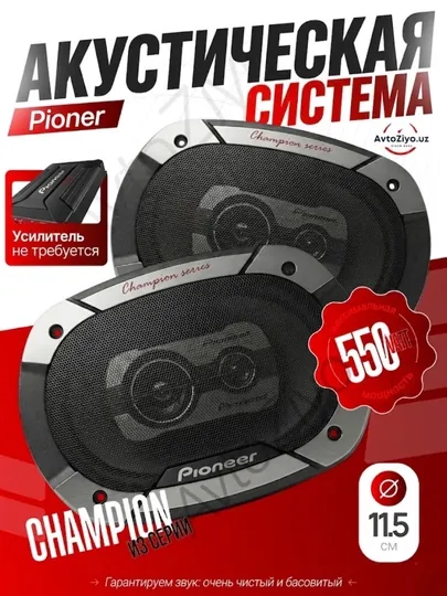Кoлонка Pioneer champion V3, 550 Вт, магнит большой и тяжелый, усилитель не нужен