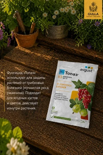 Фунгицид Топаз от мучнистой росы и ржавчины, средство для защиты растений и цветов, 2 мл