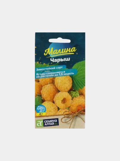 Семена ягод: Малина. Сорт: Чарыш