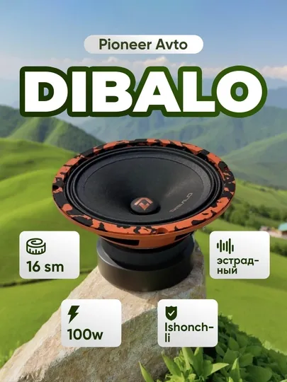 Колонки для авто Dibalo 165 Баракуда 60w, 16 см
