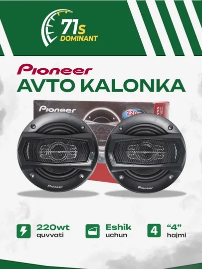 Авто колонки PIONEER для дверей