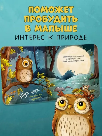 Книжки-картонки. Совушка в лесу. Первая книга малыша о природе, 16 стр — BWAY-TSR6850